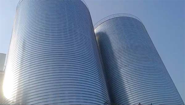 大竹2座混凝土高架卷板仓